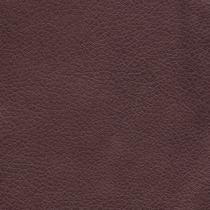 CLOUD with Twilight Seat Lift Recliner