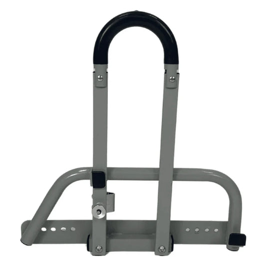 CS600 ASSIST RAIL